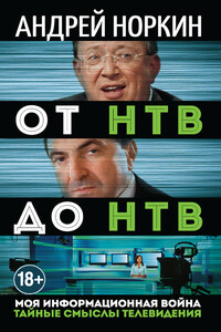 От НТВ до НТВ. Тайные смыслы телевидения. Моя информационная война - Андрей Владимирович Норкин