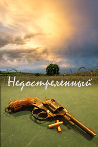 Недостреленный - Читатель