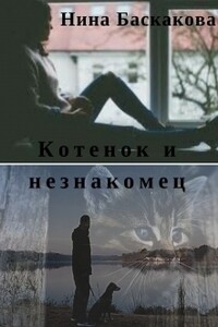 Котенок и незнакомец - Нина Баскакова