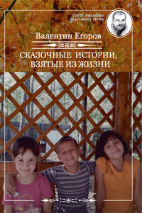 Сказочные истории, взятые из жизни (сборник) - Валентин Владимирович Егоров