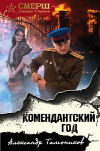 Комендантский год - Александр Александрович Тамоников