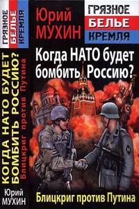 Когда НАТО будет бомбить Россию? Блицкриг против Путина - Юрий Игнатьевич Мухин