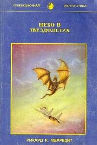 Небо в звездолетах - Ричард К Мередит