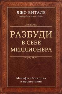 Разбуди в себе миллионера. Манифест богатства и процветания - Джо Витале