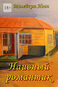 Наивный романтик - Иван Владимирович Малейкин