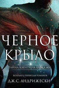 Чёрное крыло - Дж. С Андрижески