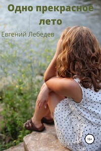 Одно прекрасное лето - Евгений Николаевич Лебедев