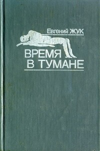 Время в тумане - Евгений Степанович Жук