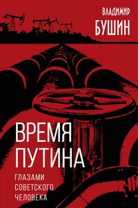Время Путина. Глазами советского человека - Владимир Сергеевич Бушин