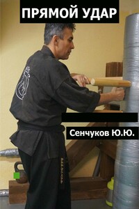 Прямой удар - Юрий Юрьевич Сенчуков
