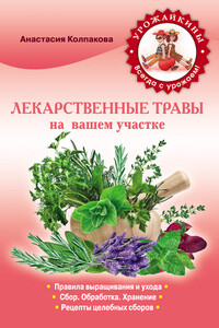 Лекарственные травы вашем на участке - Анастасия Витальевна Колпакова