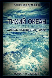 Тихий океан… лишь называется тихим - Александр Васильевич Дёмышев