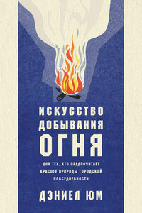 Искусство добывания огня - Дэниел Юм