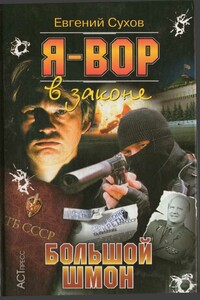 Большой шмон - Олег Александрович Алякринский, С Н Деревянко