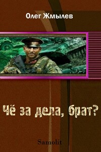 Чё за дела, брат? - Олег Жмылёв