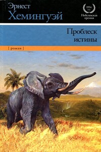 Проблеск истины - Эрнест Миллер Хемингуэй