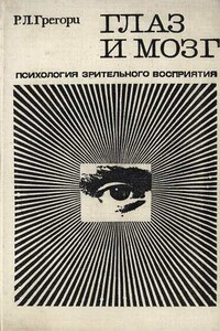 Глаз и мозг. Психология зрительного восприятия - Ричард Лэнгтон Грегори