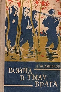 Война в тылу врага - Григорий Матвеевич Линьков