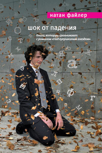 Шок от падения - Натан Файлер