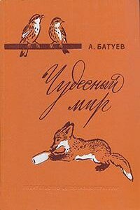 Чудесный мир - Андрей Михайлович Батуев