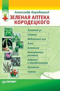 Зеленая аптека Кородецкого: золотой ус, индийский лук, стевия и другие - Александр Владимирович Кородецкий