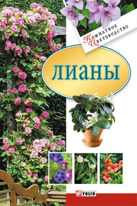 Лианы - Юлия Вадимовна Белочкина