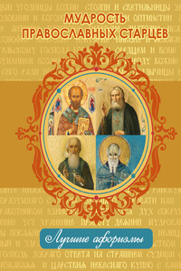 Мудрость православных старцев - Н. Богданова