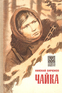 Чайка - Николай Зотович Бирюков