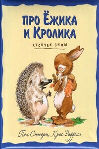 Кусочек зимы - Пол Стюарт