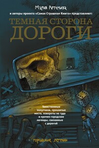 Темная сторона дороги - Александр Александрович Матюхин, Юрий Александрович Погуляй