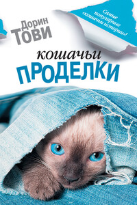 Кошачьи проделки - Дорин Тови