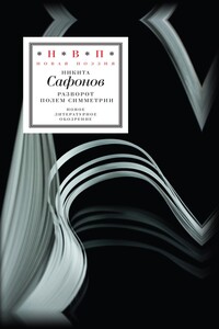 Разворот полем симметрии - Никита Сафонов
