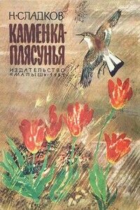 Каменка-плясунья - Николай Иванович Сладков