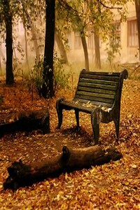 Мой осенний блюз - Мария Подалевич