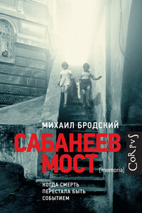 Сабанеев мост - Михаил Яковлевич Бродский