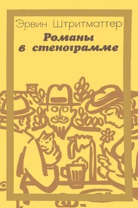 Романы в стенограмме - Эрвин Штриттматтер