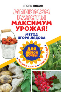 Минимум работы, максимум урожая! - Игорь Владимирович Лядов