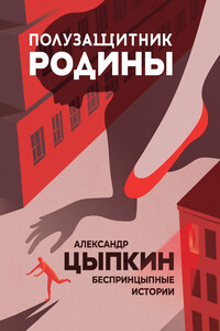 Полузащитник Родины. БеспринцЫпные истории - Александр Евгеньевич Цыпкин