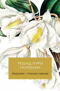 Королек – птичка певчая - Решад Нури Гюнтекин