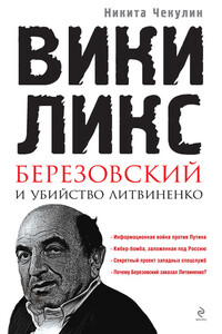«ВикиЛикс», Березовский и убийство Литвиненко - Никита Сергеевич Чекулин