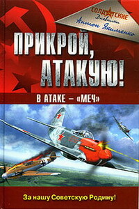 Прикрой, атакую! В атаке - «Меч» - Антон Дмитриевич Якименко