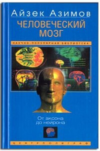 Человеческий мозг: от аксона до нейрона - Айзек Азимов