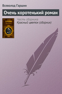Очень коротенький роман - Всеволод Михайлович Гаршин