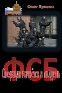 Операция начнётся в полдень - Олег Красин